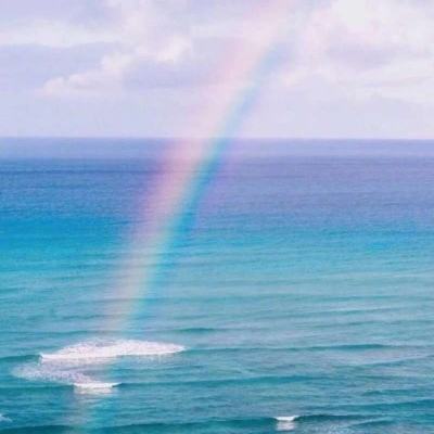 yabo网页版手机版